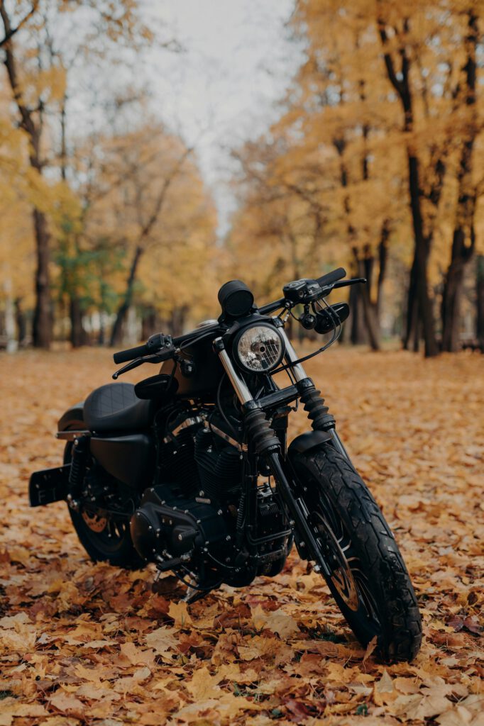 Vertical image of black motorbike in autumn park